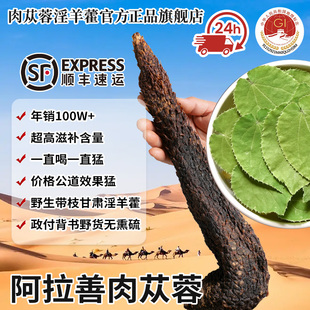 甘肃野货淫羊藿阿拉善肉苁蓉锁阳正品旗舰店人参枸杞鹿鞭茸巴戟天