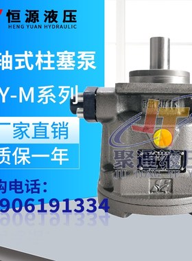 江苏恒源HY107/125/160/180/200/280/300/320M-RP/LP轴向柱塞泵
