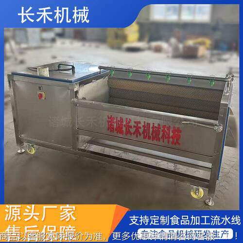 自根动果蔬茎类去泥去皮MAGA-102毛辊全洗机 海鲜材清清洗机