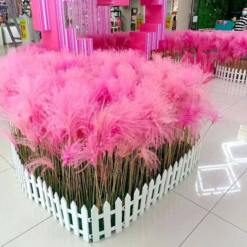 粉色芦苇干燥花真花插花商场客厅摆件家居装饰拍摄道具婚礼现场布