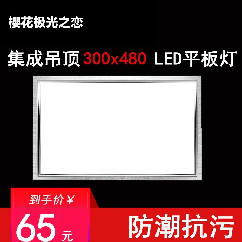 集成吊顶灯集成吊顶LED平板灯30*48cmLED厨卫面板灯300*480mm
