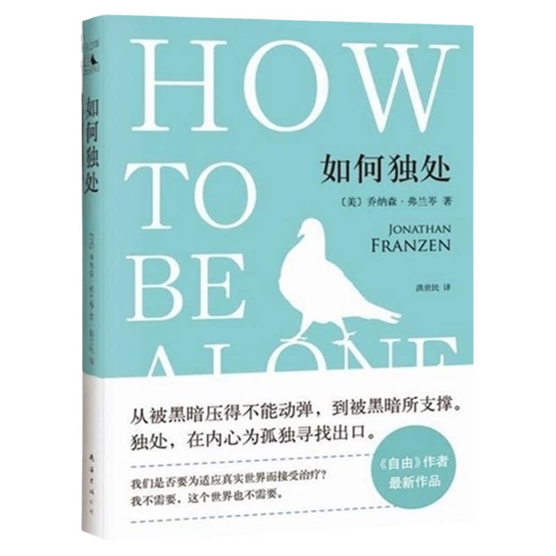 【正版书】 如何独处 乔纳森·弗兰岑 著,洪世民 译 南海出版公司