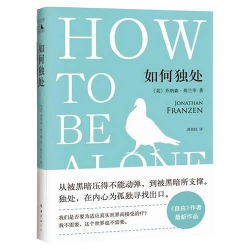 【正版书】 如何独处 乔纳森·弗兰岑 著,洪世民 译 南海出版公司