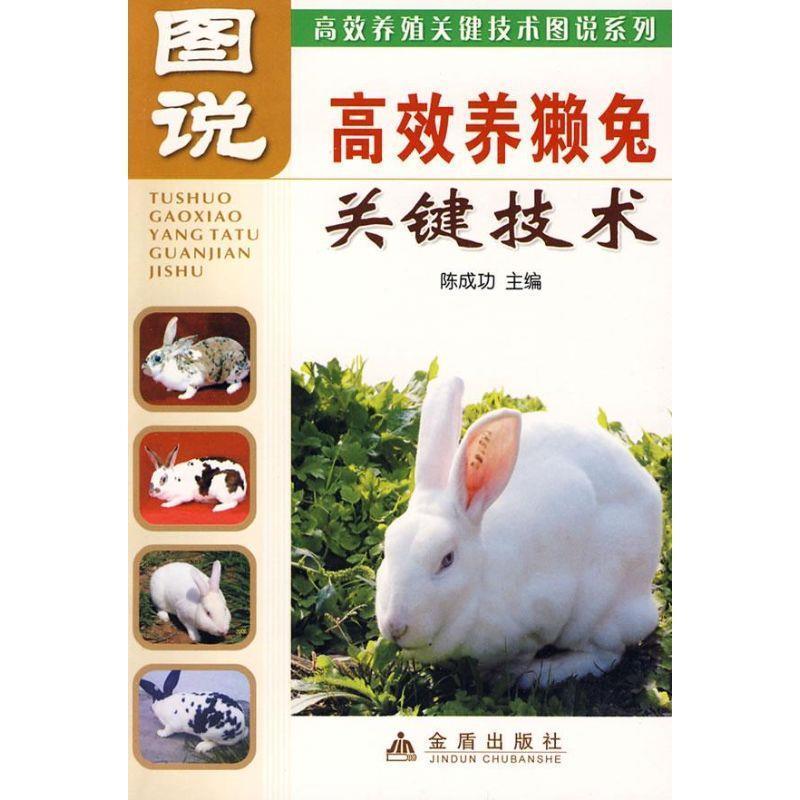 【正版书】 图说高效养獭兔关键技术 陈成功 主编 金盾出版社