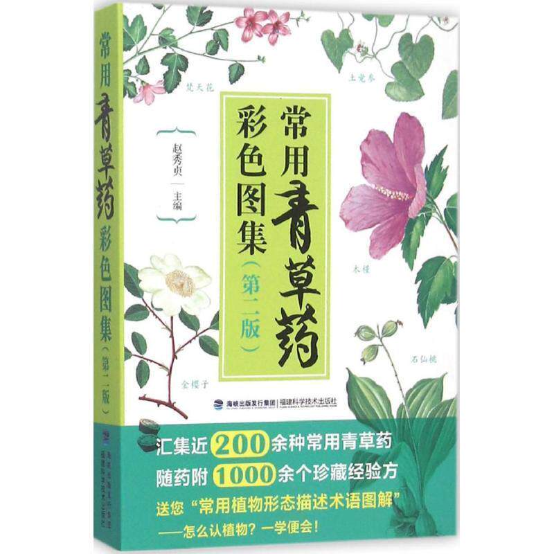 【正版书】 常用青草药彩色图集 赵秀贞 福建科技出版社