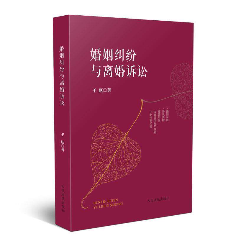 【正版书】 婚姻纠纷与离婚诉讼 于跃 著 人民法院出版社