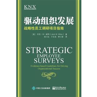 于文浩 书 美 战略性员工调研项目指南 田川农 李仁根 著 驱动组织发展 杰克·W·威利 Wiley 电子工业 译 Jack 正版