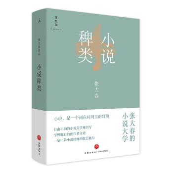 【正版书】 小说稗类 张大春 著 天地出版社