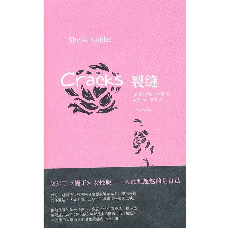 【正版书】 裂缝 (南非)科勒 著,申屠云 等译 人民文学出版社