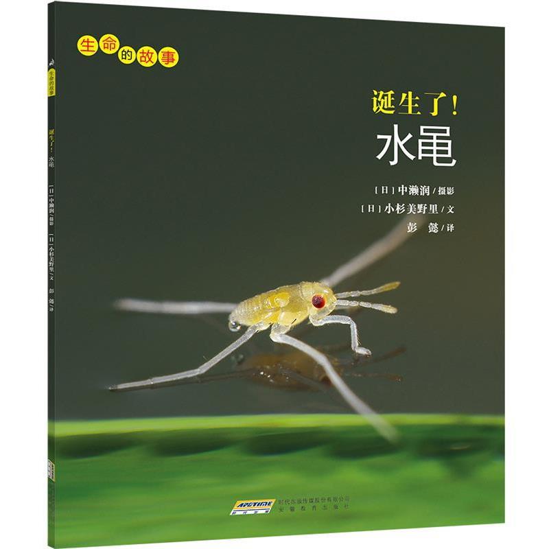 【正版书】 生命的故事:诞生了!水黾 小杉美野里 安徽教育出版社