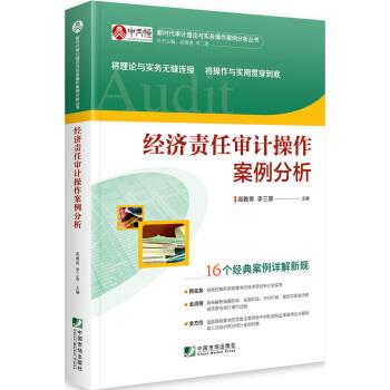 【正版书】 经济责任审计操作案例分析 高雅青,李三喜 著 中国市场出版社