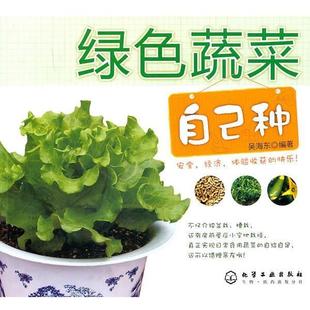 绿色蔬菜自己种 书 吴海东 编著 社 化学工业出版 正版