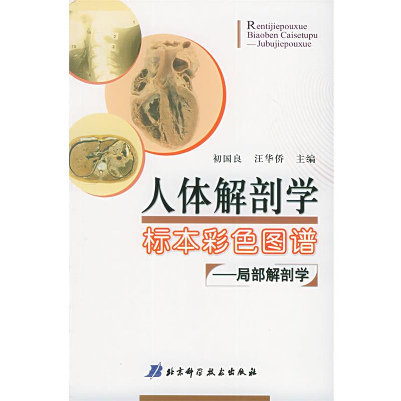 【正版书】 人体解剖学标本彩色图谱:局部解剖学 初国良,汪华侨 主编 北京科学技术出版社