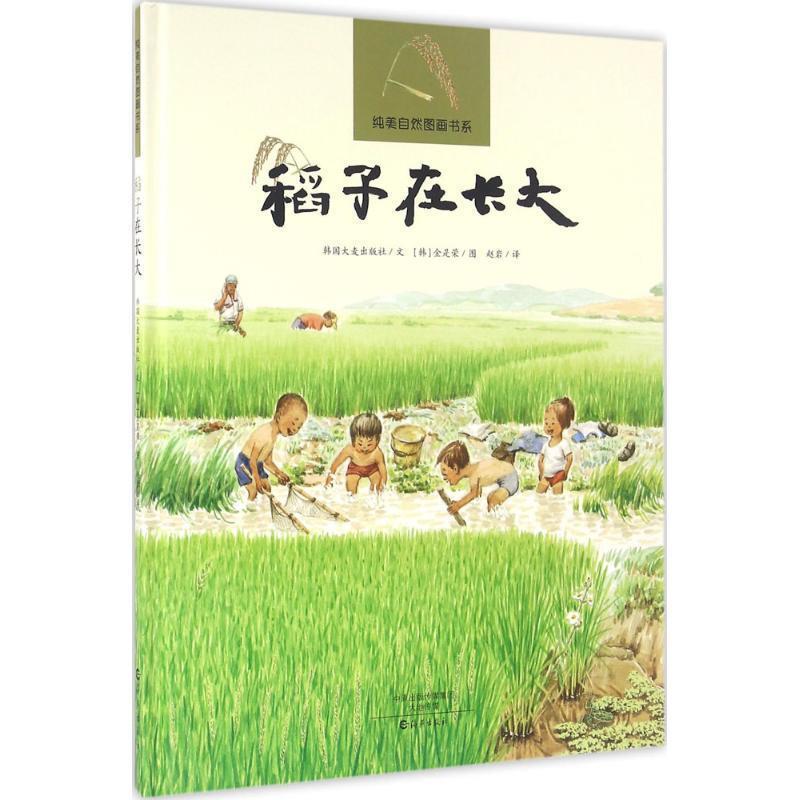 【正版书】 纯美自然图画书系 稻子在长大 韩国大麦出版社 海燕出版社