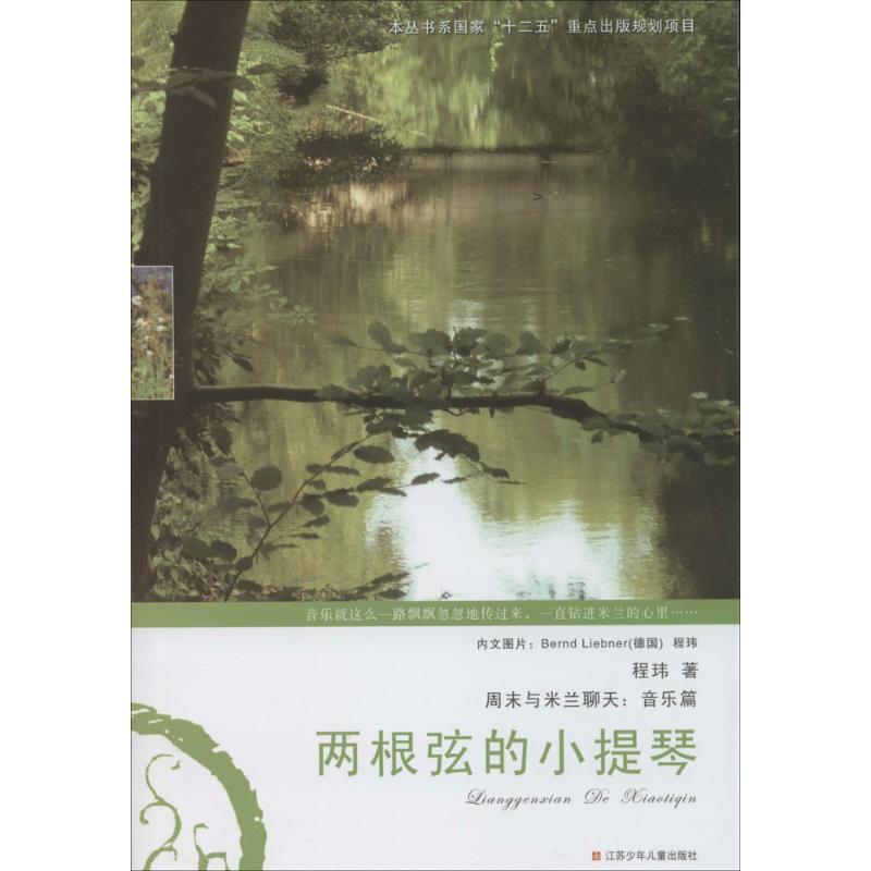 【正版书】 两根弦的小提琴 程玮 江苏少年儿童出版社