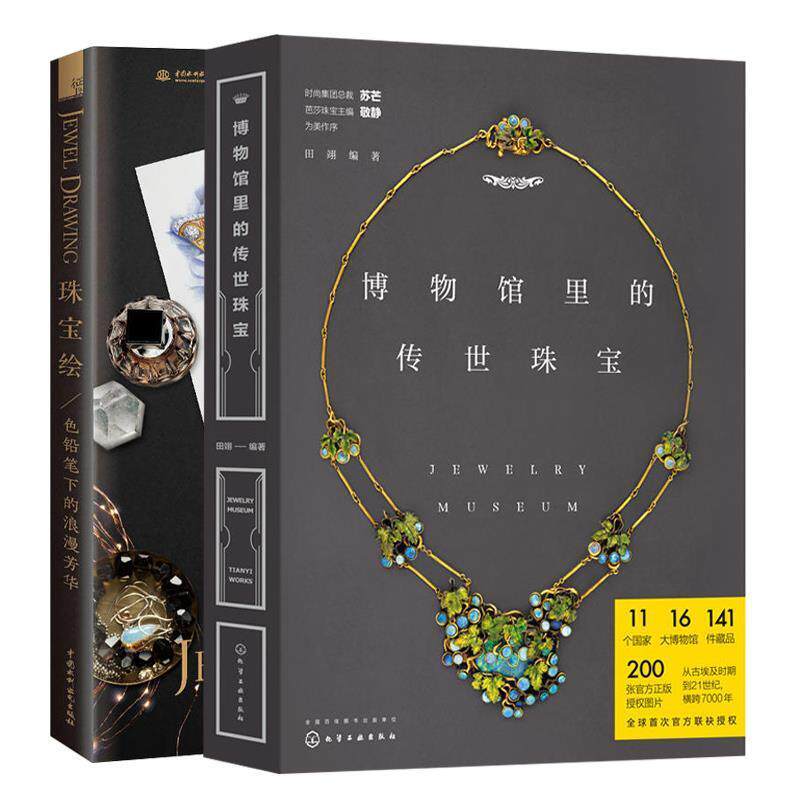 【正版书】 珠宝绘 飞乐鸟工作室 著 中国水利水电出版社