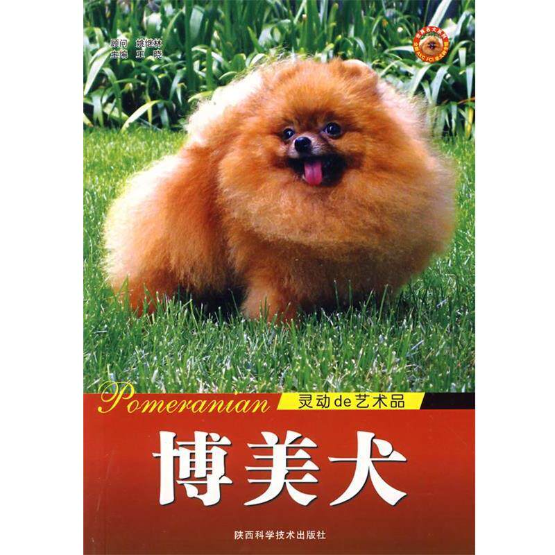 【正版书】 博美犬 灵动的艺术品 王晓 主编 陕西科学技术出版社