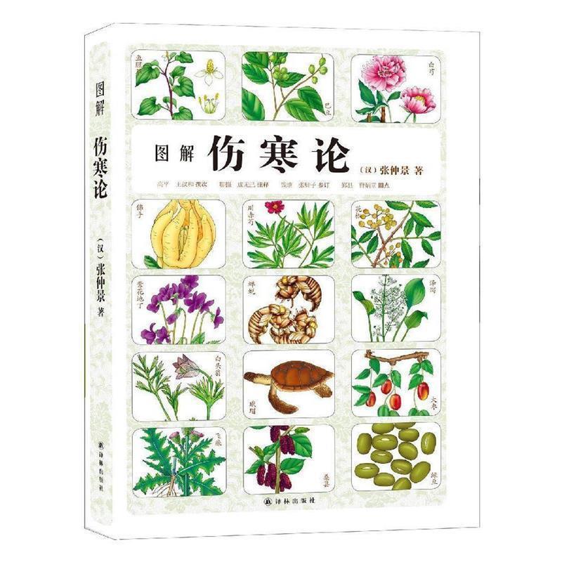 【正版书】 图解伤寒论 张仲景 译林出版社