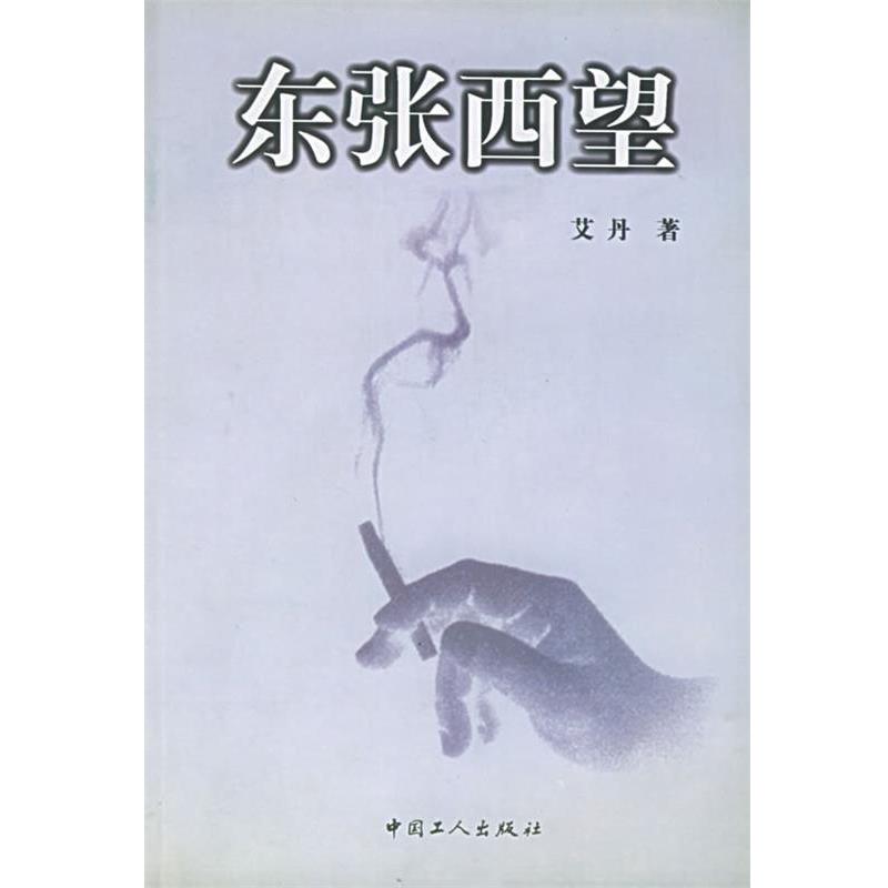 【正版书】 东张西望 艾丹 著 工人出版社