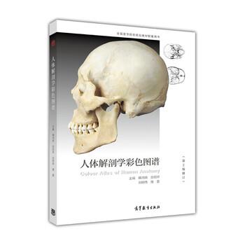 【正版书】 人体解剖学彩色图谱- 隋鸿锦,张绍祥,刘树伟 等 编 高等教育出版社
