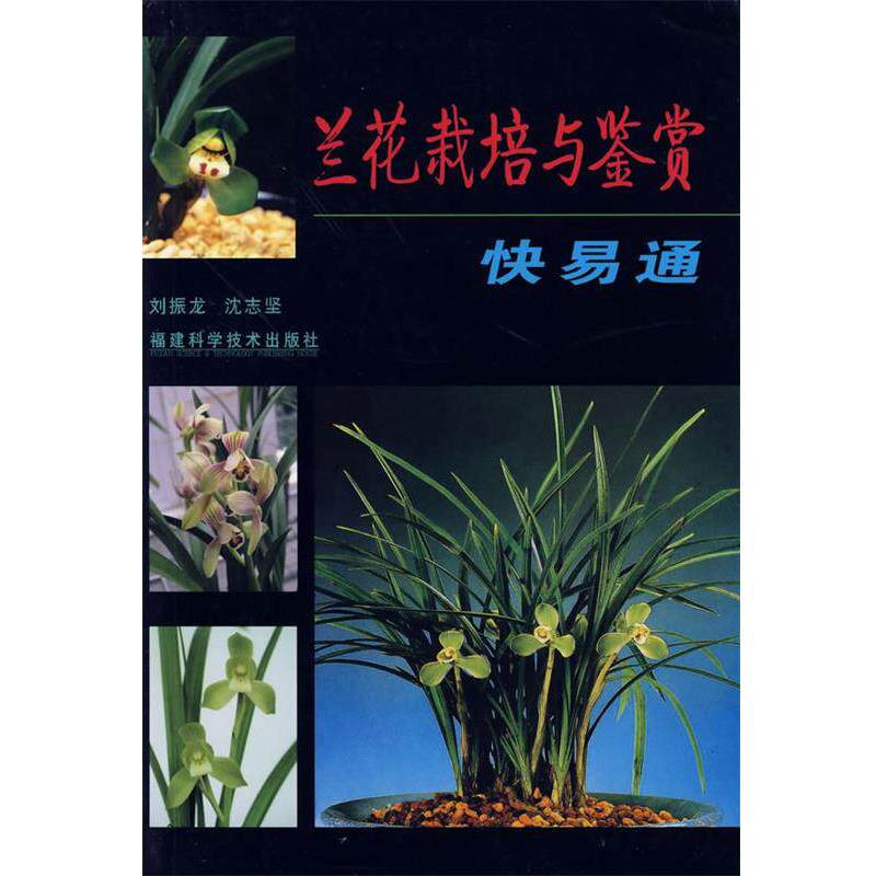 【正版书】 兰花栽培与鉴赏快易通 刘振龙,沈志坚 编著 福建科技出版社