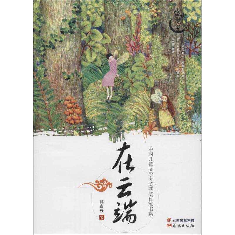 【正版书】 中国儿童文学大奖获奖作家书系-在云端 韩青辰 著 云南出版集团公司 晨光出版社