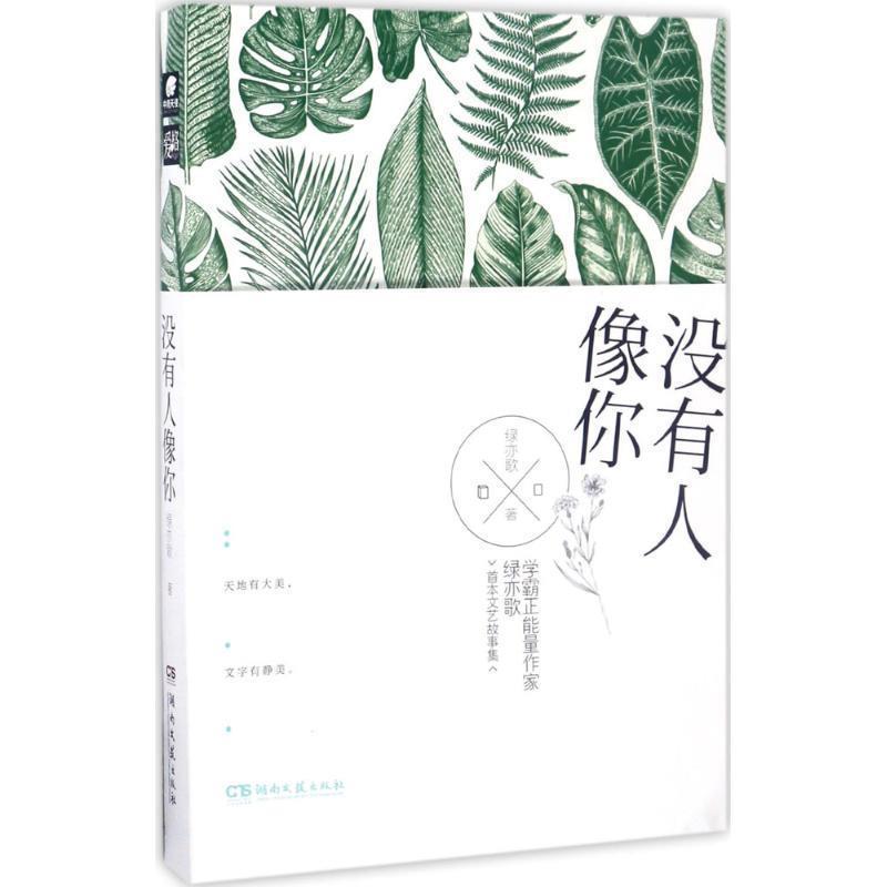 【正版书】 没有人像你 绿亦歌 著 湖南文艺出版社
