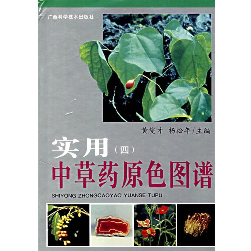 【正版书】 实用中草药原色图谱 黄燮才,杨松年 主编 广西科学技术出版社