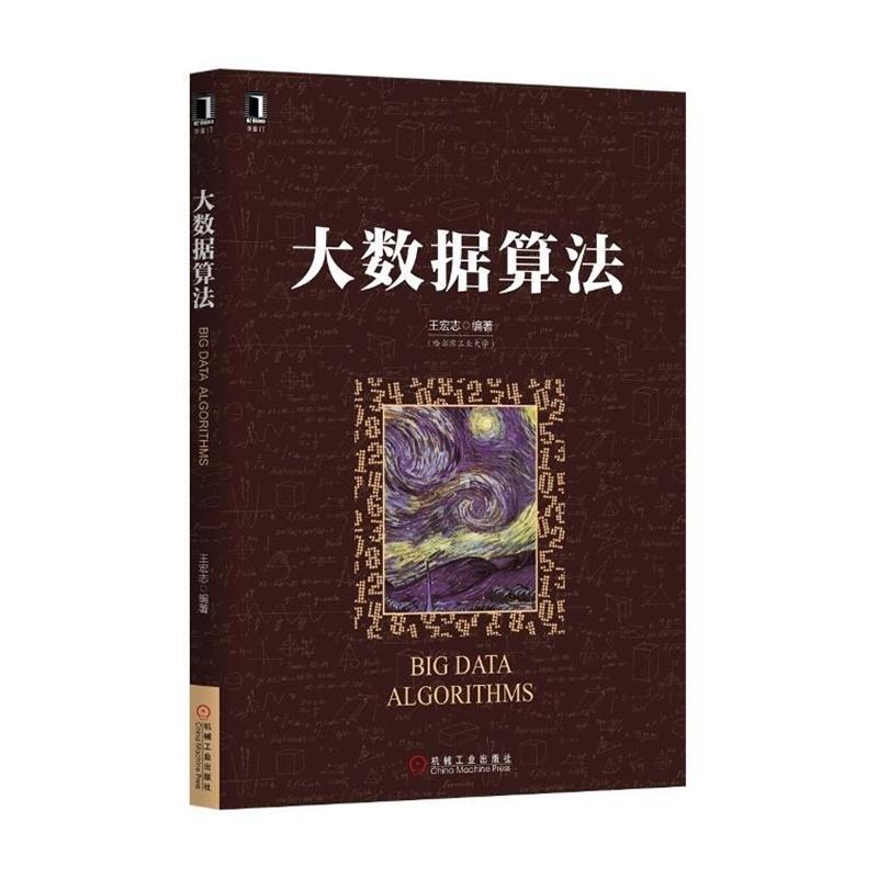 【正版书】 大数据算法 王宏志 著 机械工业出版社