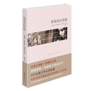 【正版书】 普埃布拉情歌 [墨西哥]安赫莱斯•玛斯特尔塔 著,李静 译 南海出版公司