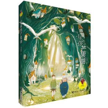 【正版书】 星孩的芒果湖 马嘉恺 接力出版社图片