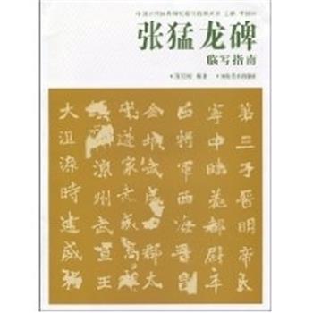 【正版书】 张猛龙碑临写指南 朱长河 河南美术出版社