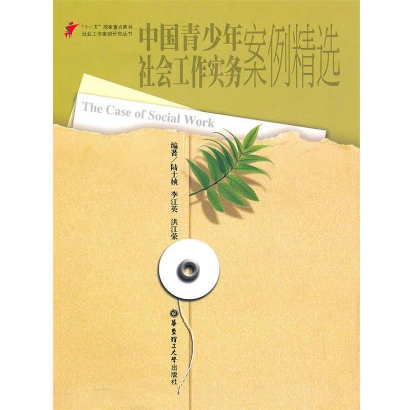 【正版书】 中国青少年社会工作实务案例精选 陆士桢,李江英,洪江荣 编著 华东理工大学出版社