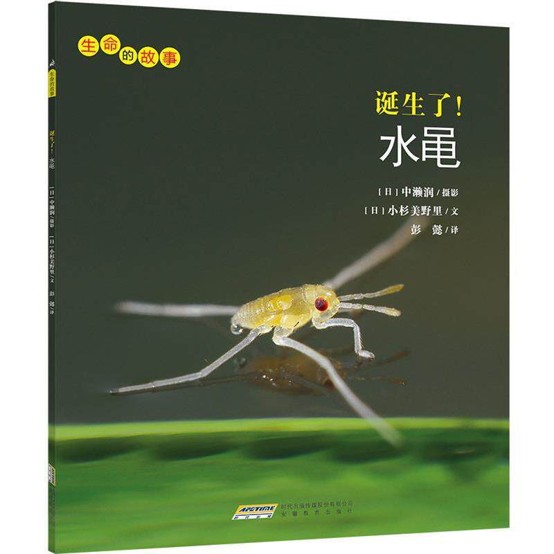 【正版书】 生命的故事:诞生了!水黾 小杉美野里 安徽教育出版社