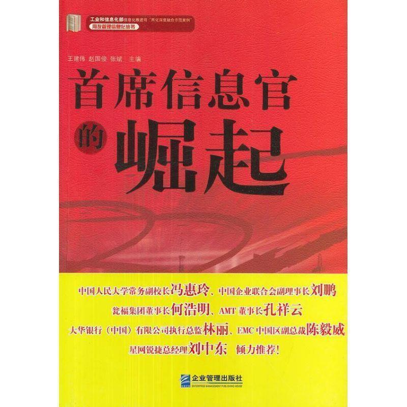 【正版书】 首席信息官的崛起 王建伟,赵国俊,张斌 编 企业管理出版社