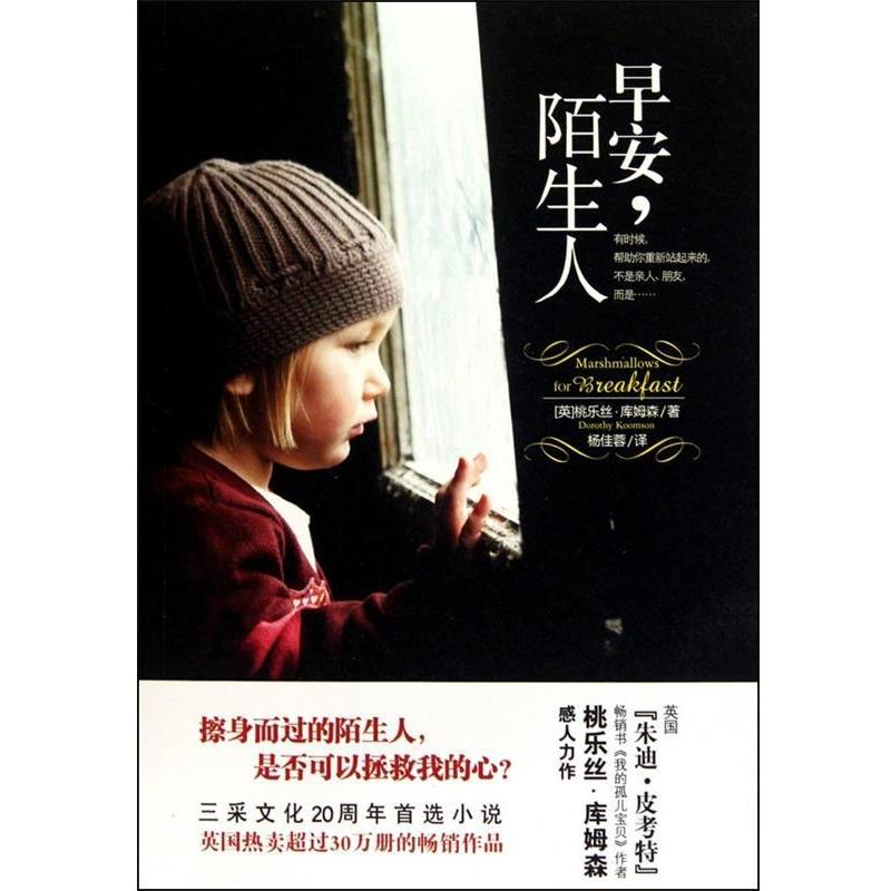 【正版书】 早安,陌生人 桃乐丝•库姆森, 杨佳蓉 文化艺术出版社