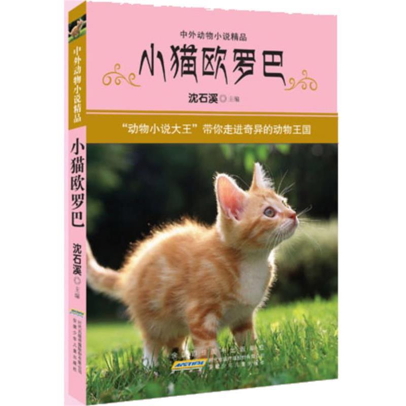 【正版书】 小猫欧罗巴 沈石溪系列 沈石溪 主编 安徽少年儿童出版社