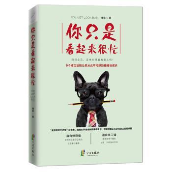 【正版书】 你只是看起来很忙 申辰 宁波出版社