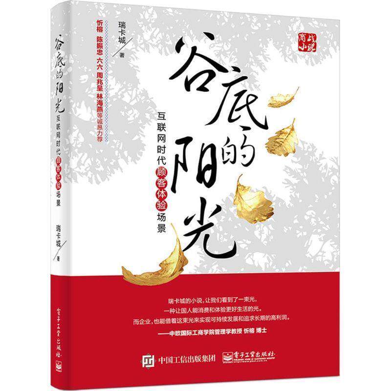 【正版书】 谷底的阳光 瑞卡城 著 电子工业出版社