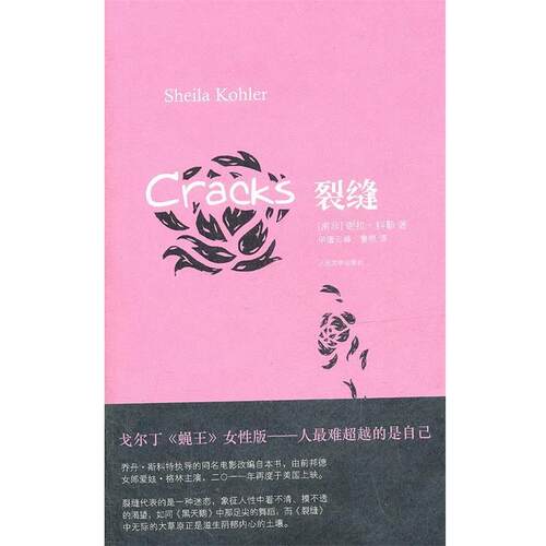 【正版书】 裂缝 （南非）科勒　著,申屠云　等译 人民文学出版社