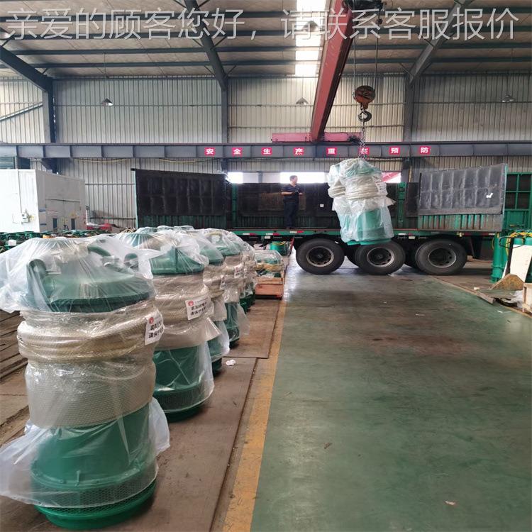 BQS30-100/2-160/0N潜水泵 扬40程高 功排率大 隔爆型排沙潜水污