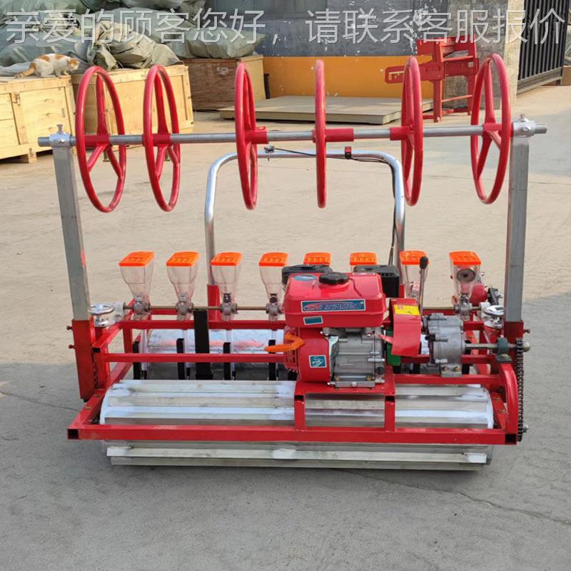 手推式柴胡黄芩点播MXM 机蔬菜棚育苗播种菠机 韭菜菜精大播机