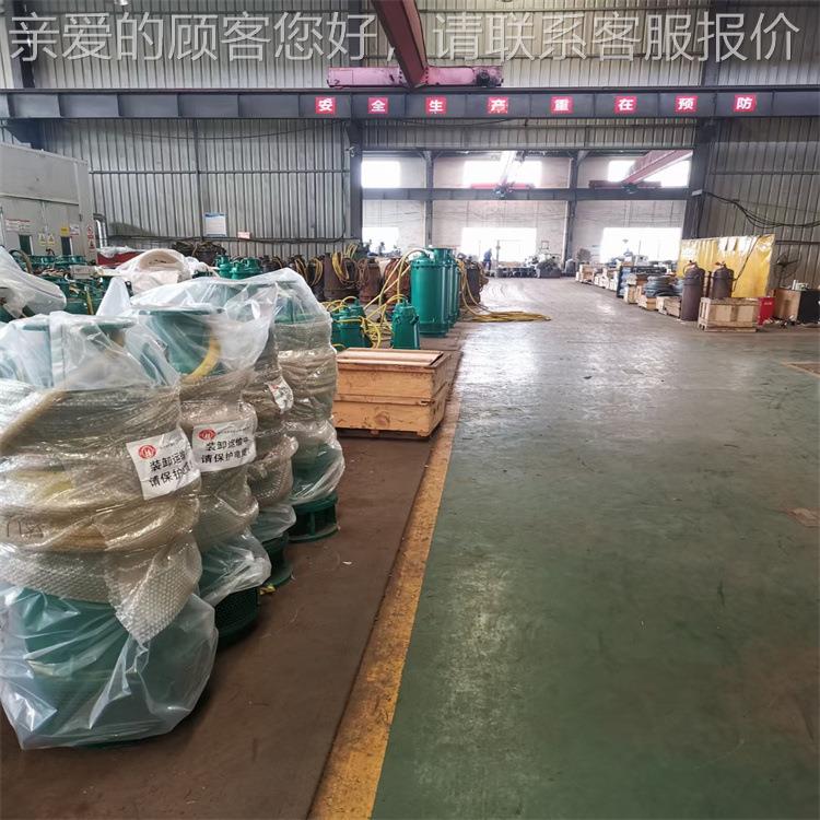 BQS2沙-00-金100/2110/N潜水泵 耐磨合287铸铁 BQS排排污潜水泵