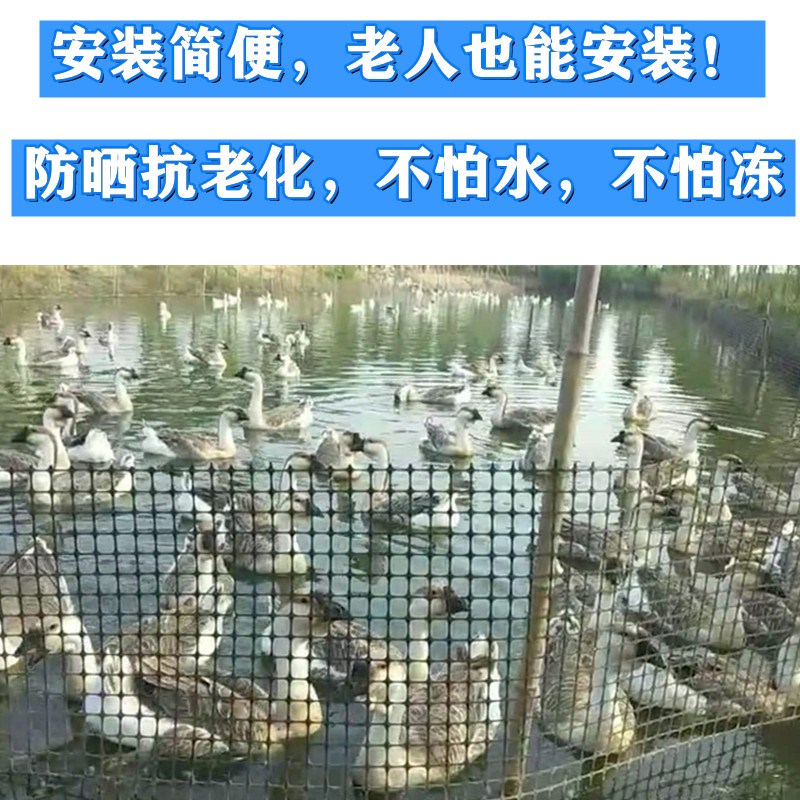 新塑料网养殖网围栏网格栅户外养鸡鸭鹅圈玉米网防护网脚垫漏粪网