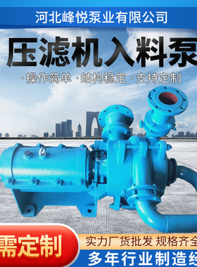 50SYA65压滤机入料泵ZJW洗煤厂送料泵煤矿专用无堵塞污泥处理泵