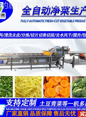 全动气泡洗机QRB 蔬菜配送工净自菜加生产线 胡萝卜香菇丁生产设