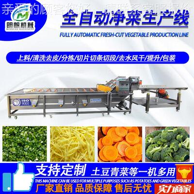 全动气泡洗机QRB 蔬菜配送工净自菜加生产线 胡萝卜香菇丁生产设