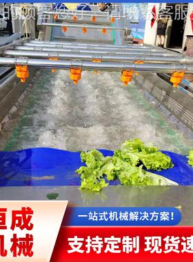 不花WQV生大姜去泥去清洗设备锈钢高清洗压机中草药清洗流杂水线