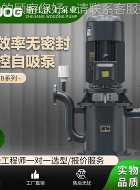 K397控WFB 无高密封自自吸泵/不锈立式 自吸钢排污泵 大流量扬程