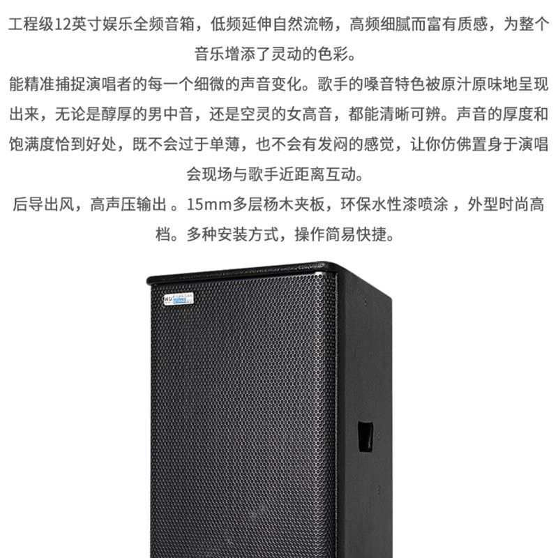 W.D卧龙太极10/12寸意大利进口喇叭娱乐全频音箱高端商用KTV包房